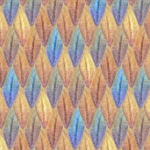 Large Desert sunset Pencil texture scales