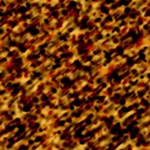 tortoise_shell_amber_black