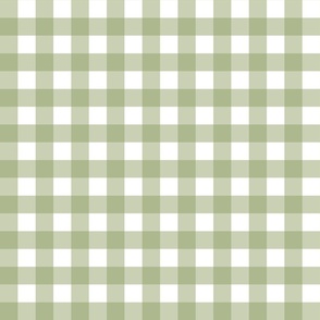 Gingham 1 inch green on fabric ground
