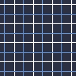 Window Pane Nautical Grid in Midnight Blue, Blue and White