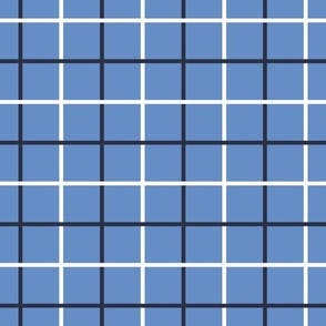Window Pane Nautical Grid in Blue, White and Midnight Blue