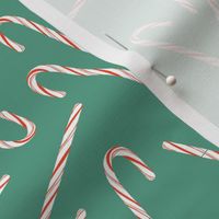Mini Christmas Candy Canes on Moss