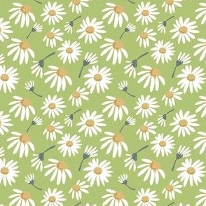 Green daisies summer floral