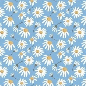 Blue daisies summer floral