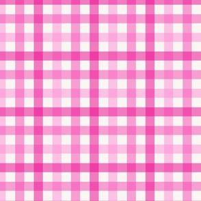 checks in bright pinks-01