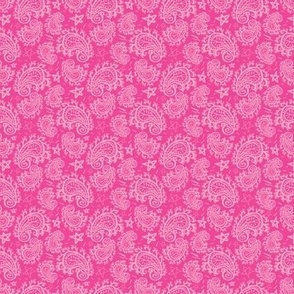 Barbie Paisley Pink 