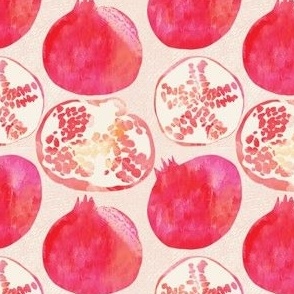 Pomegranate Bliss, a watercolor fruit stripe on a coral textured background