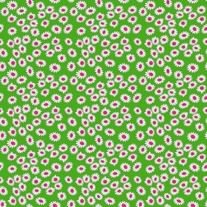 Groovy retro daisies green and pink