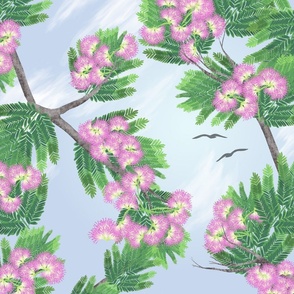 Summer Sky and Mimosa Tree