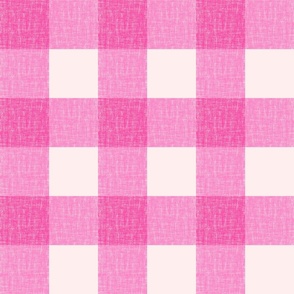 That new pink _gingham plaid_barbiecore _Oversized