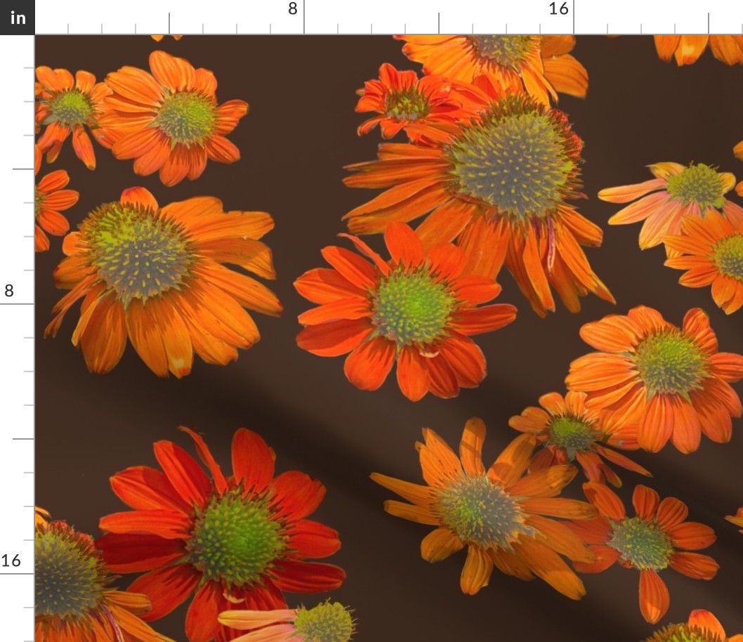 [Large] Flowers Collage Echinacea Orange on Brown