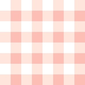 1" Peachy Pink Gingham Check – Hello Lula Floral coordinate