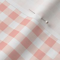 1/2" Peachy Pink Gingham Check – Hello Lula Floral coordinate