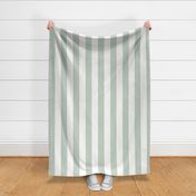 3" Vertical Stripe: Pale Forest Green Wide Basic Stripe