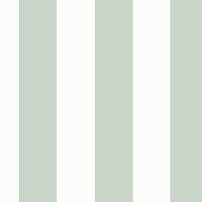 1.5" Vertical Stripe: Pale Forest Green Basic Stripe
