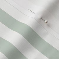 3/4" Vertical Stripe: Pale Forest Green Basic Stripe
