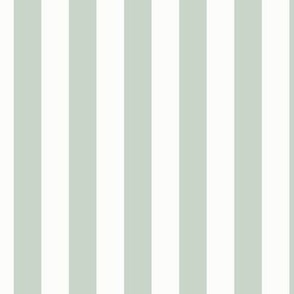 3/4" Vertical Stripe: Pale Forest Green Basic Stripe