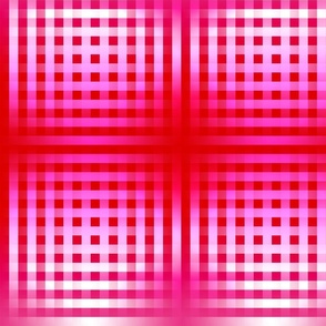 Not So Basic Gingham (Barbie Pink)