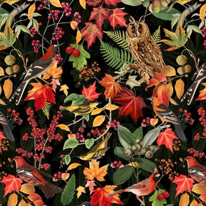 Autumn Impression With Owl And Colorful Leaves In Green Red Colors On Black Background  Medium Scale