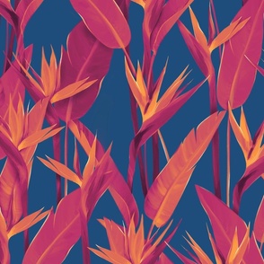 Pink flowers of the Bird of Paradise on a blue background 