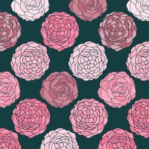 large floral pink and white camellias on teal