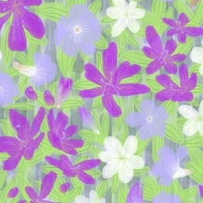 Glory Bush // Barleria Flowers Pattern