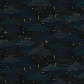 Cloudy night sky- medium and dark