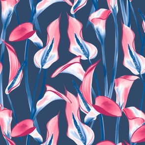 Pink Calla lily on a blue background