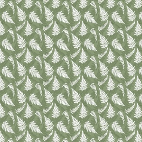 Ferns green small