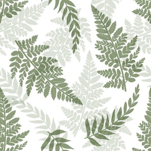 Ferns white large