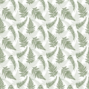 Ferns white medium