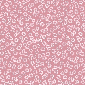 Painted Daisies - dusty pink - medium scale