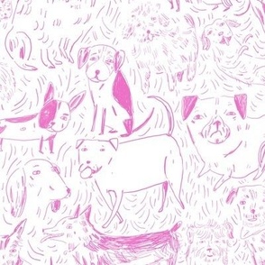 Dogs in pink