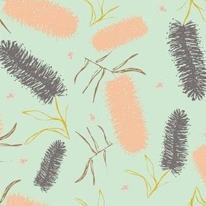 Native Australian Banksia Flowers in Peach + Mauve on Mint Green background