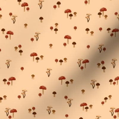 Tiny Mushrooms Cream