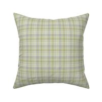 $ Small  scale classic twill weave plaid design in warm neutral soft apple green tones for masculine wallpaper, country interiors, table cloths, duvet covers and kids apparel