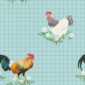 Country Chickens - Turquoise Blue