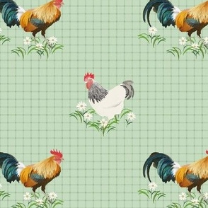 Country Chickens - Green