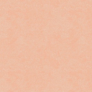 Dotted Texture in Peach Shades - French Cottage Vibes / Large