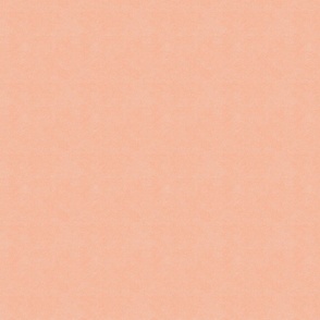 Dotted Texture in Peach Shades - French Cottage Vibes / Medium