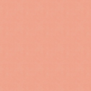Dotted Texture in Salmon Shades - French Cottage Vibes / Medium