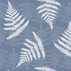 Blue ferns