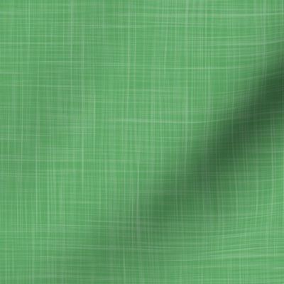 Pantone mega matter PANTONE 6171 C green linen texture solid