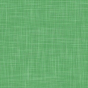 Pantone mega matter PANTONE 6171 C green linen texture solid