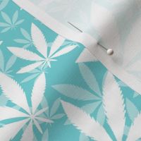 Bigger Scale Marijuana Cannabis Leaves White on Pool Blue