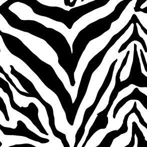 zebra 1 of 3 - black and white stripes large format
