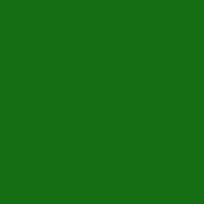Dark Green  #166e14 
