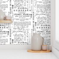 Captivated Memories Vintage Typography And Script Pattern Black On White  Large Scale