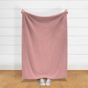 Solid Picnic Dusty Rose Dusty Pink for Baby Girl Quilt Nursery Girls Room Decor or Bedding. 
