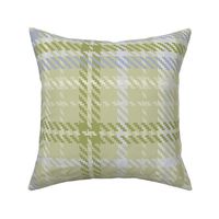 321 - Jumbo large scale classic twill weave plaid design in warm neutral soft apple green tones for masculine wallpaper, country interiors, table cloths, duvet covers and kids apparel